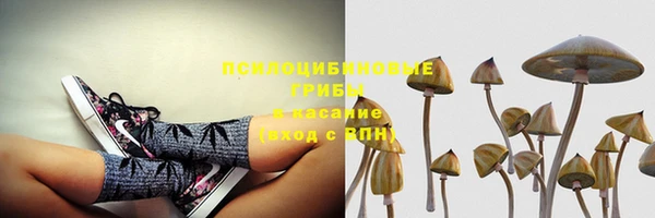 mdpv Балахна