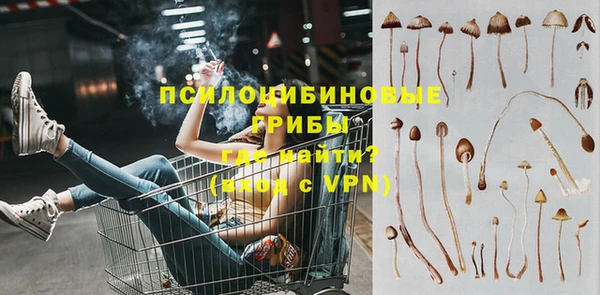 ГАЛЛЮЦИНОГЕННЫЕ ГРИБЫ Баксан