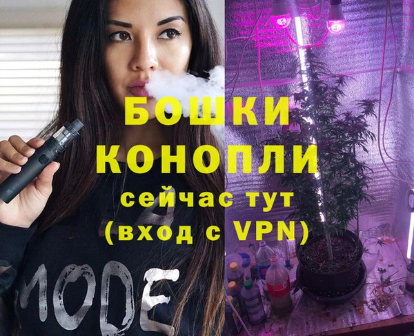 бошки Белокуриха