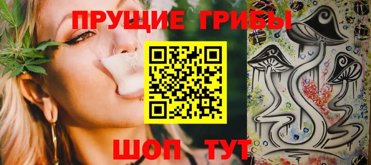 Новый Уренгой  Псилоцибиновые грибы Cubensis  Вход с VPN 